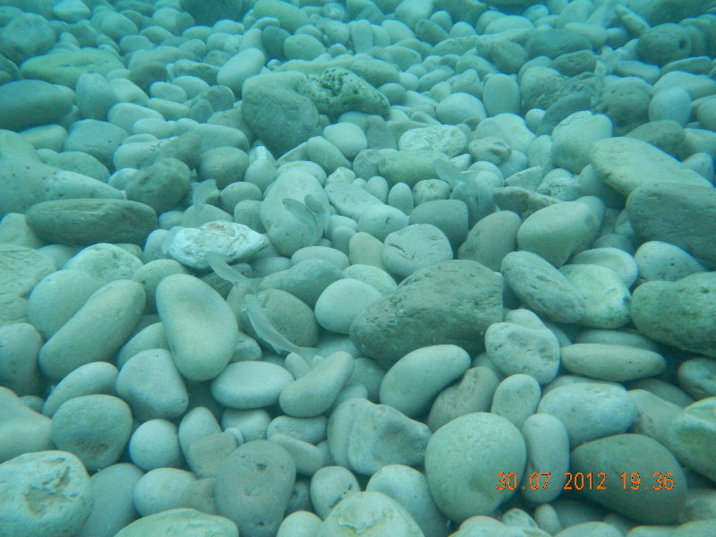 0354_kroatien_dscn0516