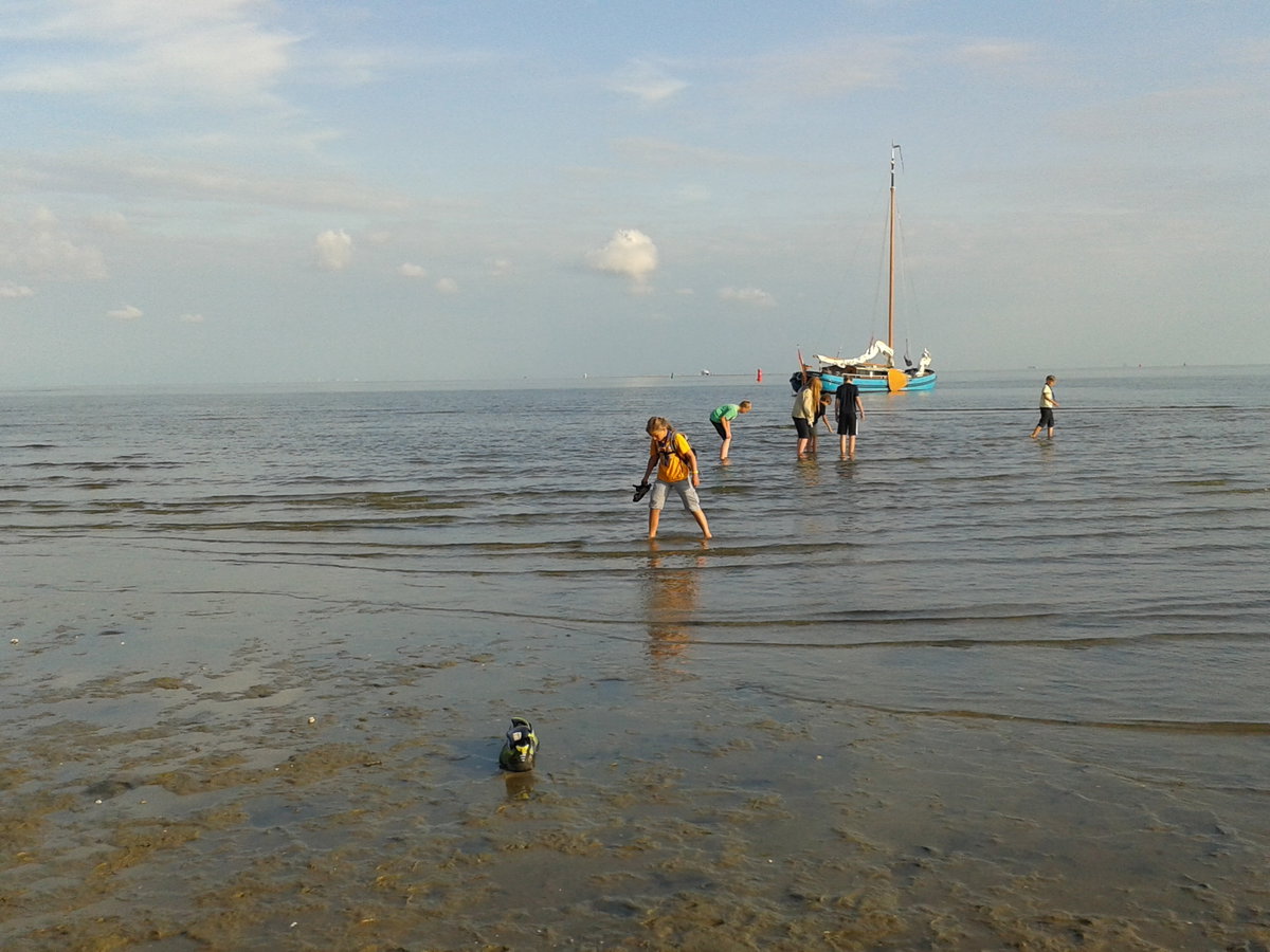 20140805_191415