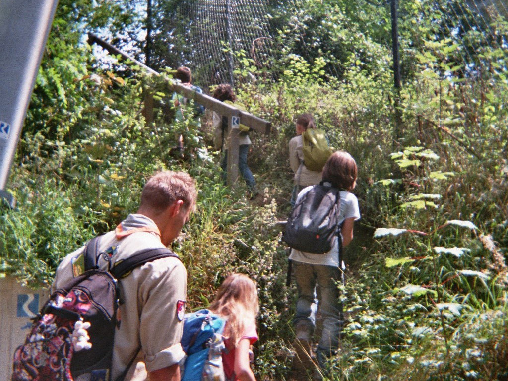 imm006_4A